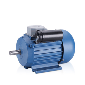 Fractional Horsepower Induction Electric Motor