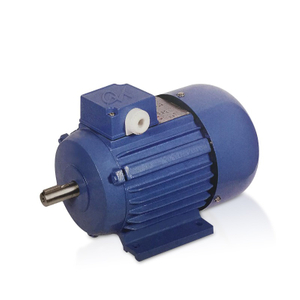 Three-phase Induction Electric Motor Ys