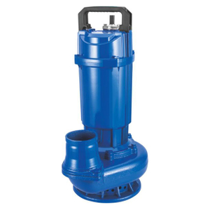 WQ(D) Professional Clean Water Submersible Pump 