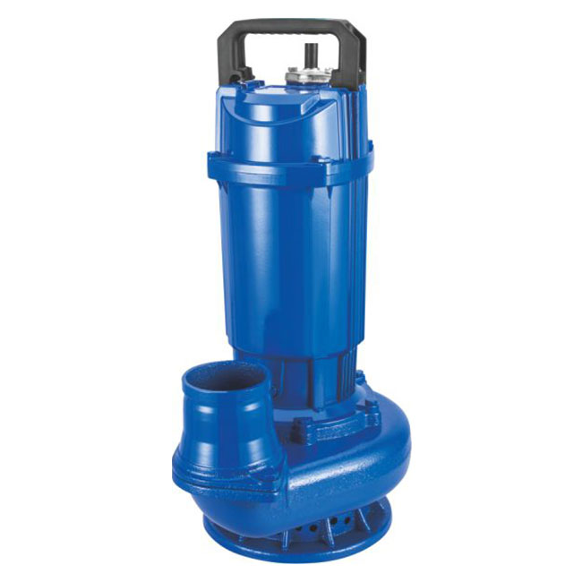 WQ(D) Professional Clean Water Submersible Pump 